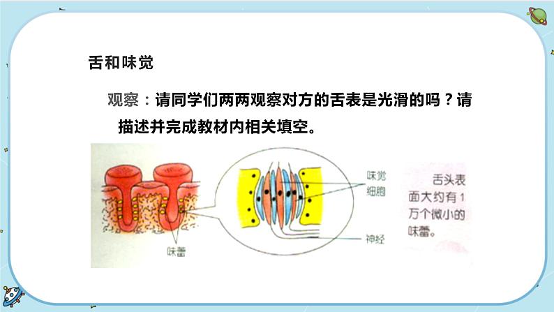 2.1 感觉世界（课件PPT+练习含答案）08