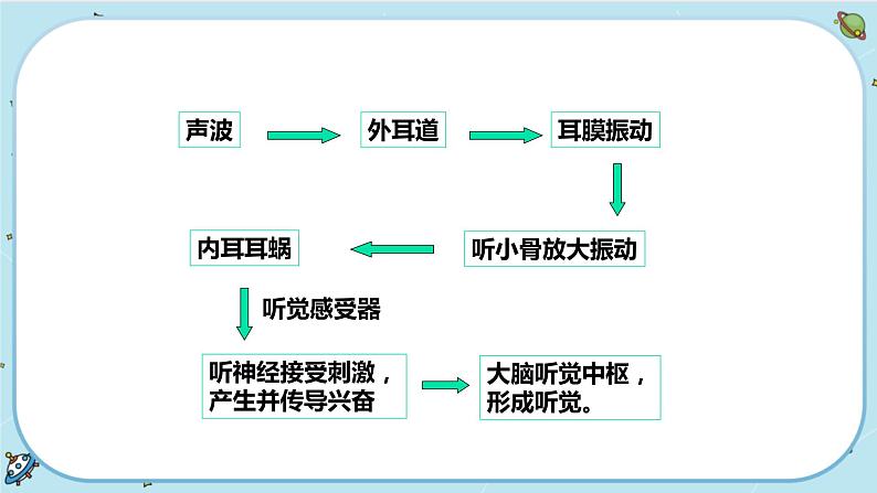 2.3 耳和听觉（课件PPT+练习含答案）06