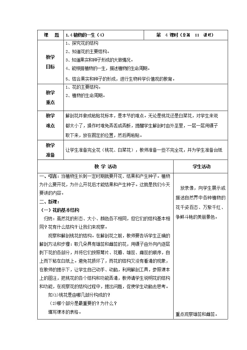 植物的一生（4）第1页