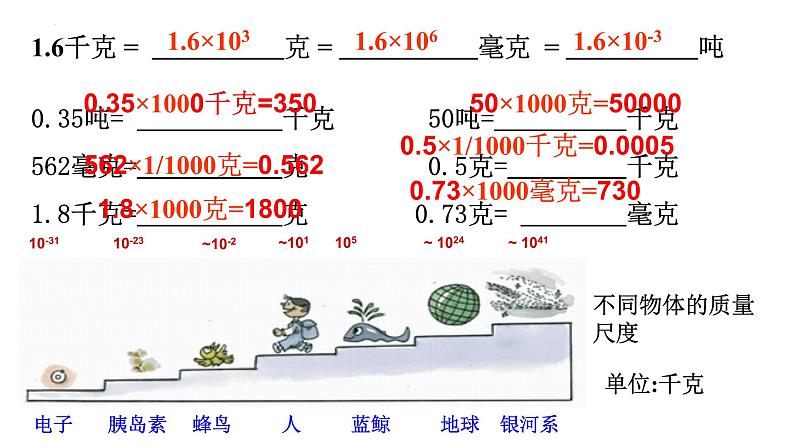 2022-2023学年浙教版科学七年级上册4.2 质量的测量课件05