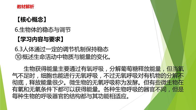 2022-2023学年浙教版科学九年级上册4.4 能量的获得课件02