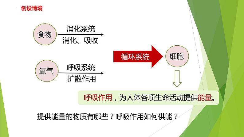 2022-2023学年浙教版科学九年级上册4.4 能量的获得课件03