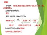 2022-2023学年浙教版科学九年级上册4.4 能量的获得课件