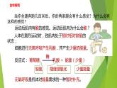 2022-2023学年浙教版科学九年级上册4.4 能量的获得课件
