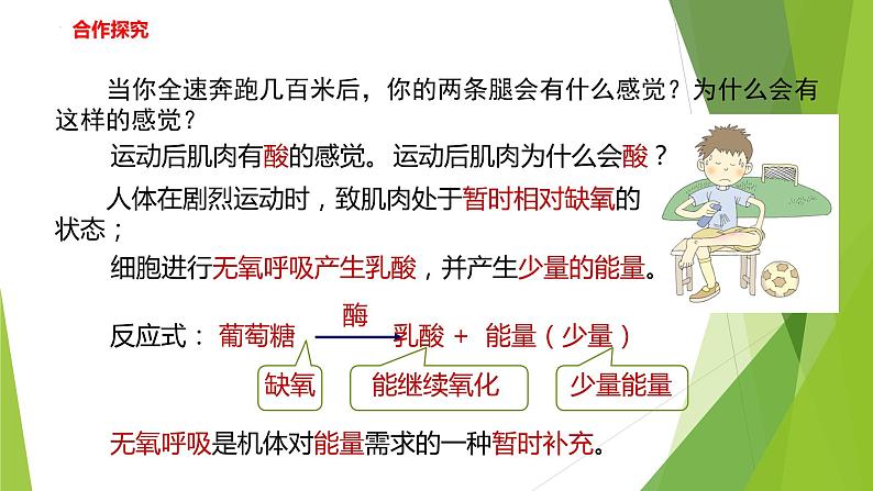 2022-2023学年浙教版科学九年级上册4.4 能量的获得课件05