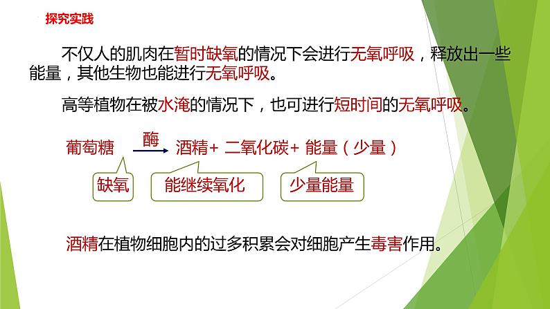 2022-2023学年浙教版科学九年级上册4.4 能量的获得课件06