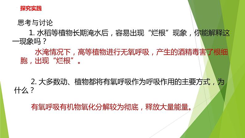 2022-2023学年浙教版科学九年级上册4.4 能量的获得课件07