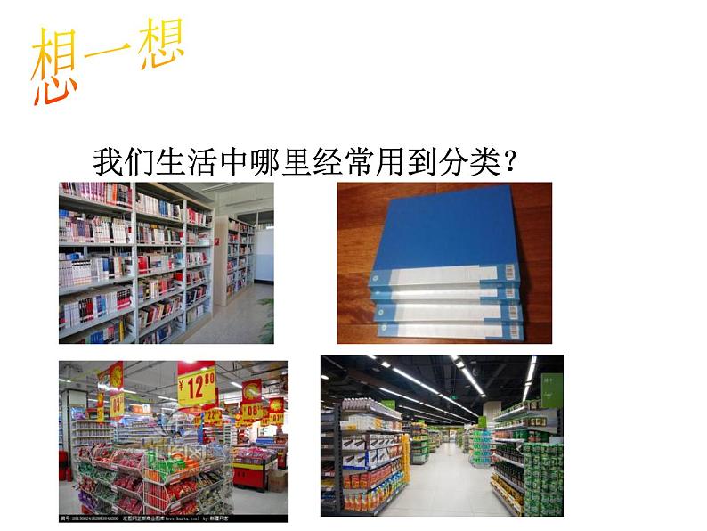 2022-2023学年浙教版科学七年级上册2.4常见的动物课件03