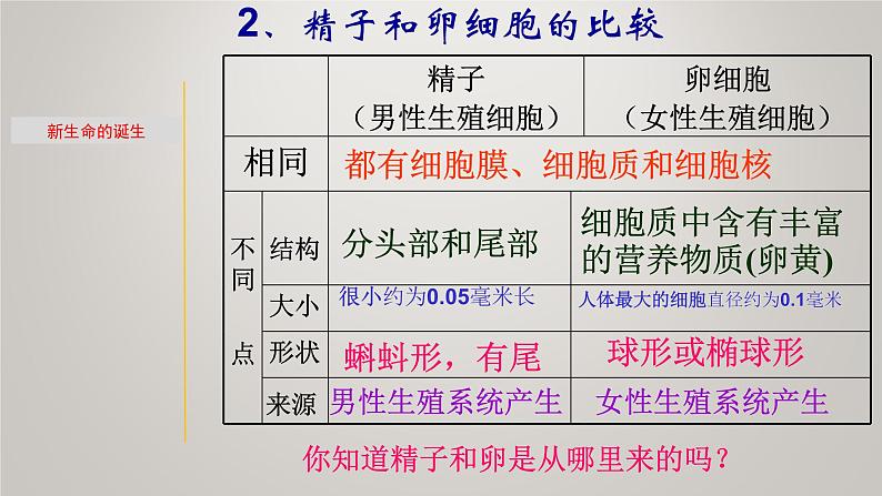 1.1 新生命的诞生&走向成熟-七年级科学下册知识点讲解与规律总结（浙教版）课件PPT07