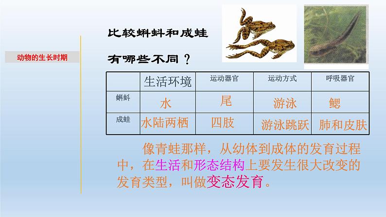 1.2 动物的生长时期-七年级科学下册知识点讲解与规律总结（浙教版）课件PPT05