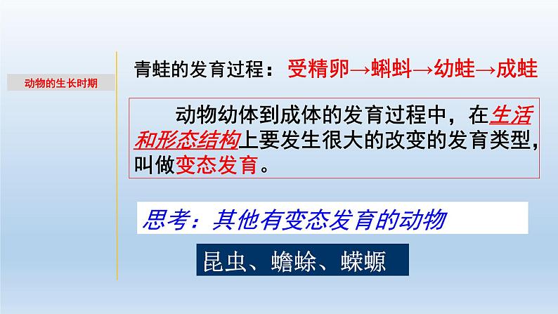 1.2 动物的生长时期-七年级科学下册知识点讲解与规律总结（浙教版）课件PPT06