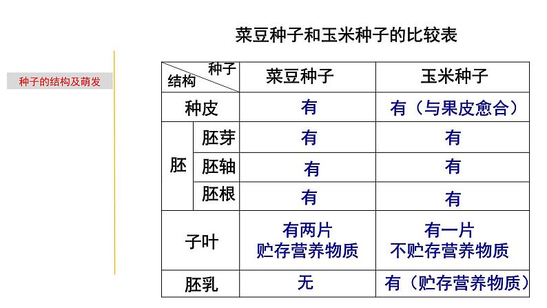 1.3 植物的一生-七年级科学下册知识点讲解与规律总结（浙教版）课件PPT08