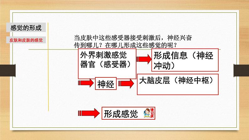 2.1 感觉世界&声音的产生和传播-七年级科学下册知识点讲解与规律总结（浙教版）课件PPT第7页