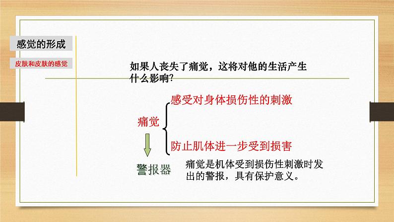 2.1 感觉世界&声音的产生和传播-七年级科学下册知识点讲解与规律总结（浙教版）课件PPT第8页