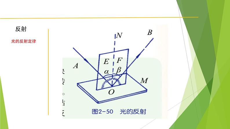 2.4 光的反射和折射-七年级科学下册知识点讲解与规律总结（浙教版）课件PPT第5页