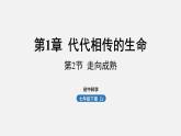 浙教版七年級科學(xué)下冊課件 第一章 第2節(jié) 走向成熟