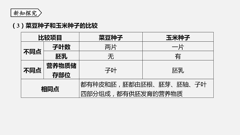 浙教版七年级科学下册课件 第一章 第4节 植物的一生第7页