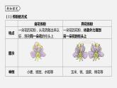 浙教版七年級科學(xué)下冊課件 第一章 第5節(jié) 植物生殖方式的多樣性