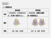 浙教版七年级科学下册课件 第一章 第5节 植物生殖方式的多样性