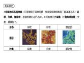 浙教版七年级科学下册课件 第一章 第6节 细菌和真菌的繁殖