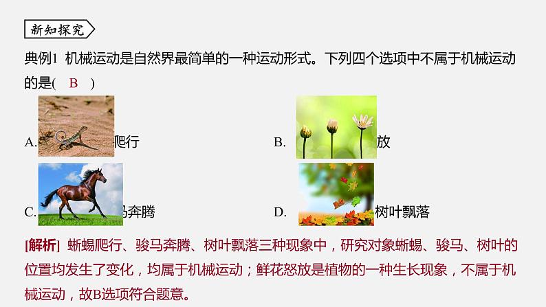 浙教版七年级科学下册课件 第三章 第1节 机械运动第4页