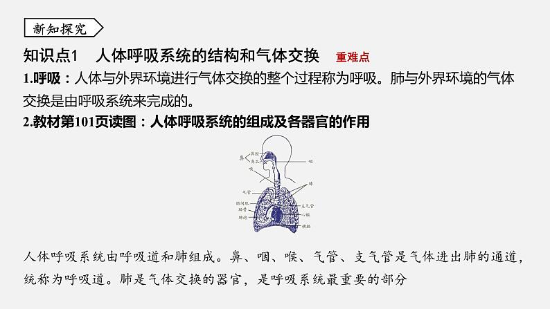 浙教版八年级科学下册课件 第三章  第5节 生物的呼吸和呼吸作用03