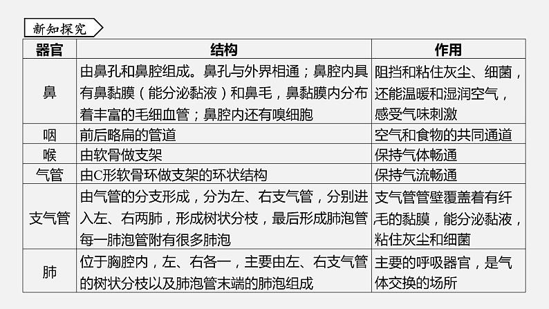 浙教版八年级科学下册课件 第三章  第5节 生物的呼吸和呼吸作用04