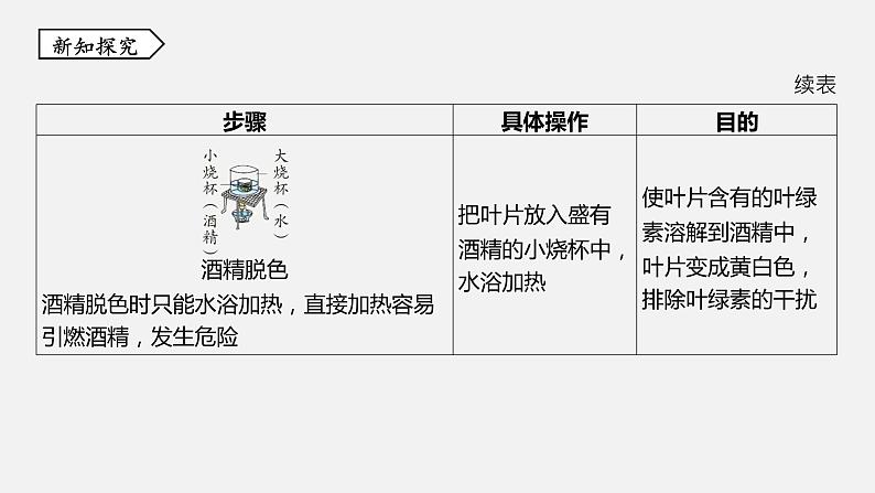 浙教版八年级科学下册课件 第三章  第6节 光合作用08