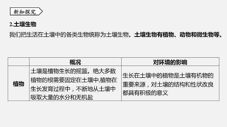 浙教版八年级科学下册课件 第四章  第1节 土壤的成分第6页