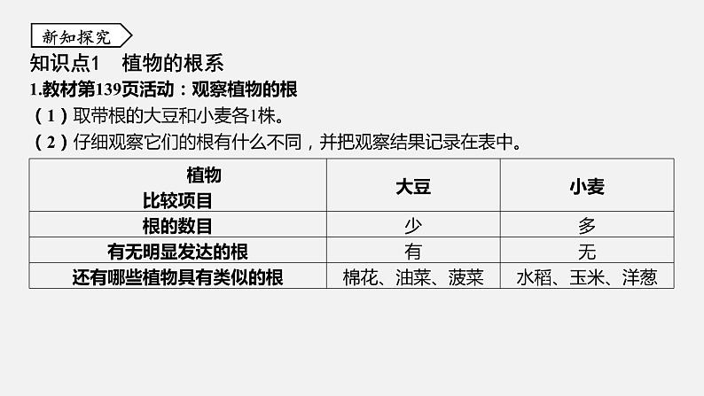 浙教版八年级科学下册课件 第四章  第3节 植物的根与物质吸收03