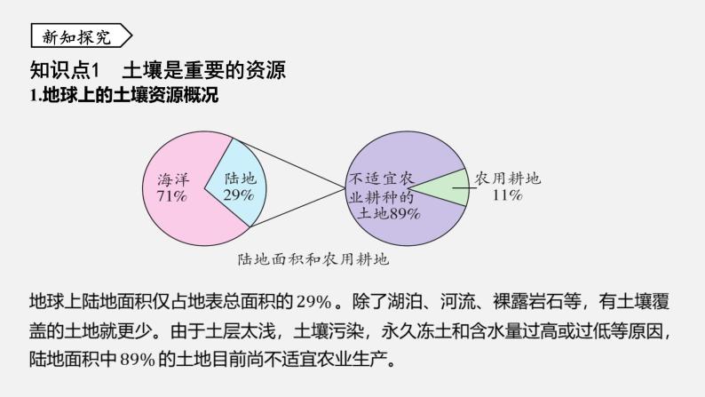 浙教版八年级科学下册课件 第四章  第6节 保护土壤03