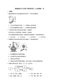 初中科学第4节 植物的一生随堂练习题