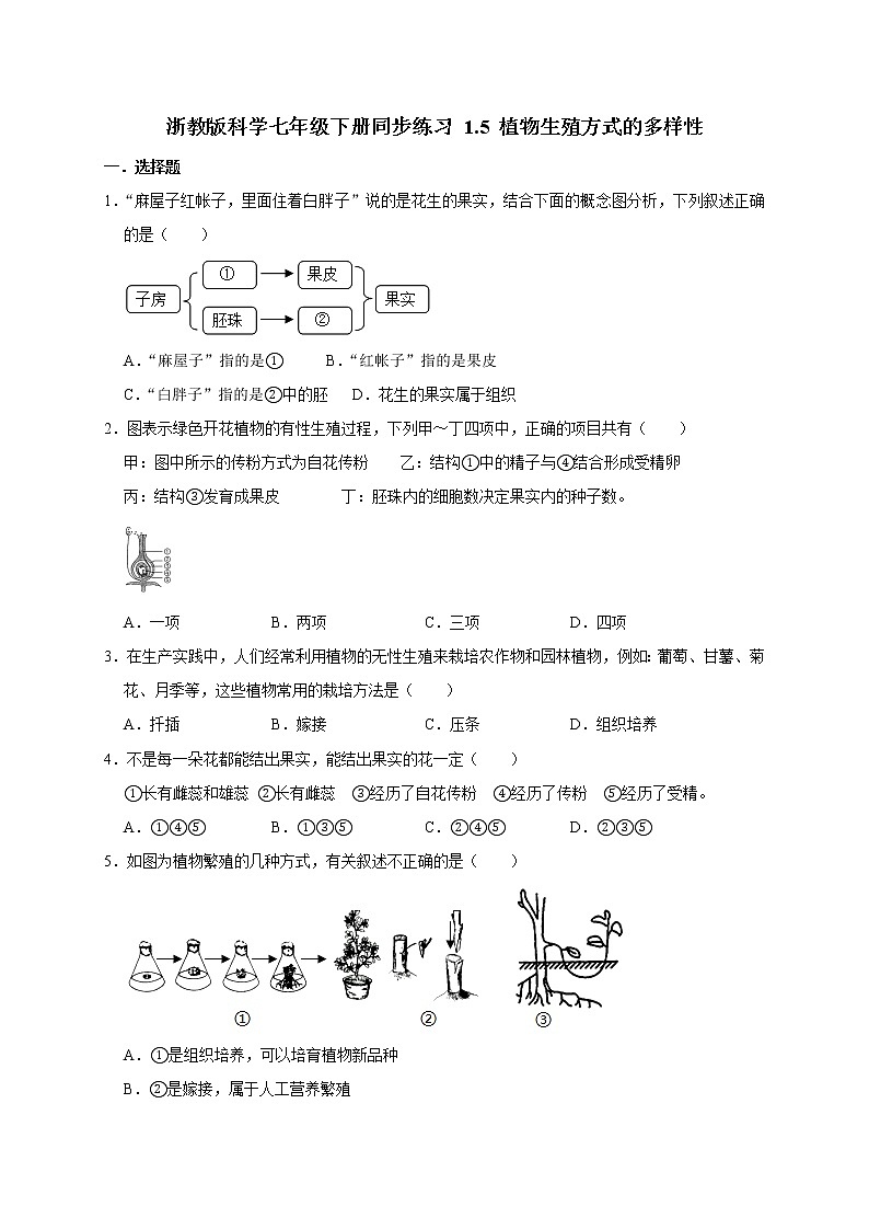 浙教版科学七年级下册同步练习 1.5 植物生殖方式的多样性（含答案解析）01