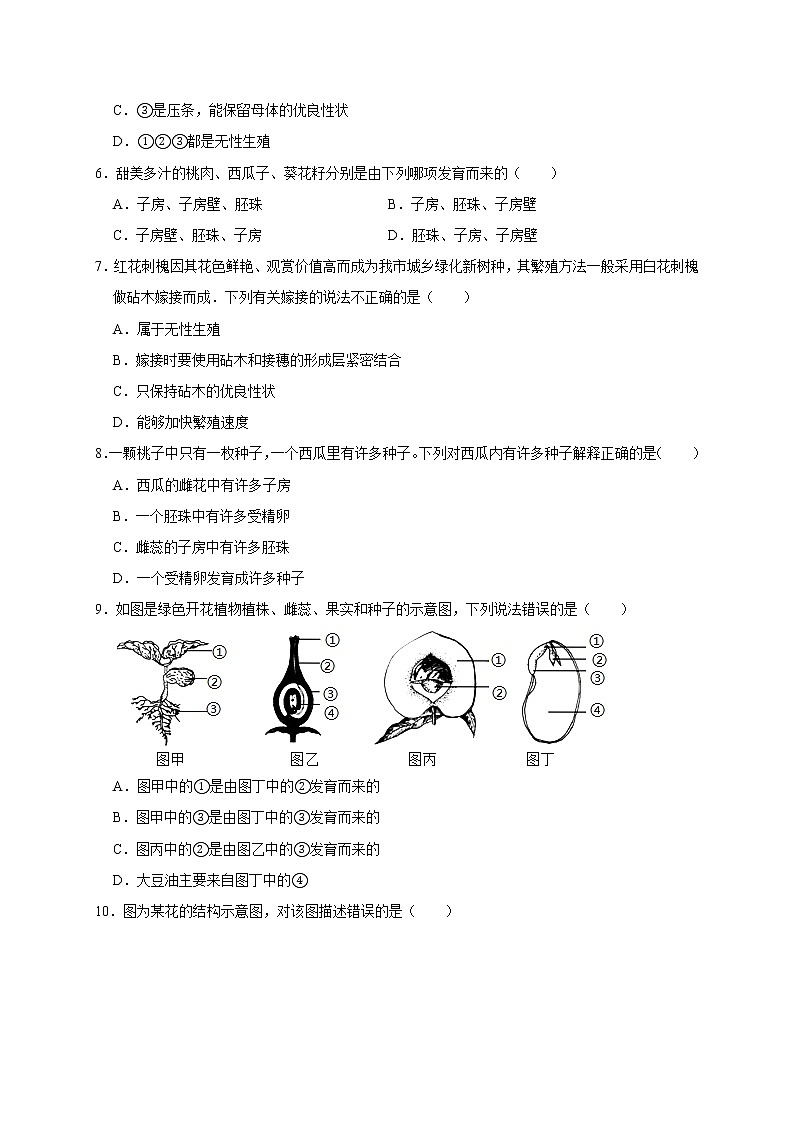 浙教版科学七年级下册同步练习 1.5 植物生殖方式的多样性（含答案解析）02