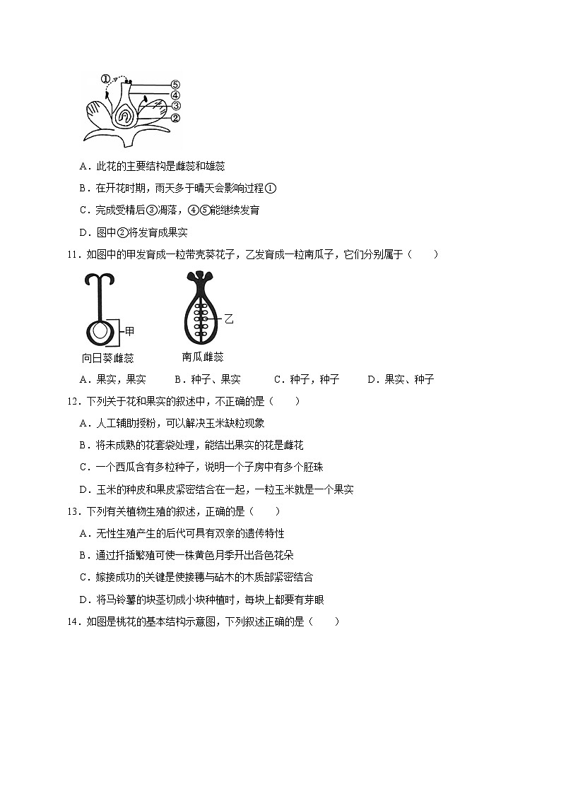 浙教版科学七年级下册同步练习 1.5 植物生殖方式的多样性（含答案解析）03