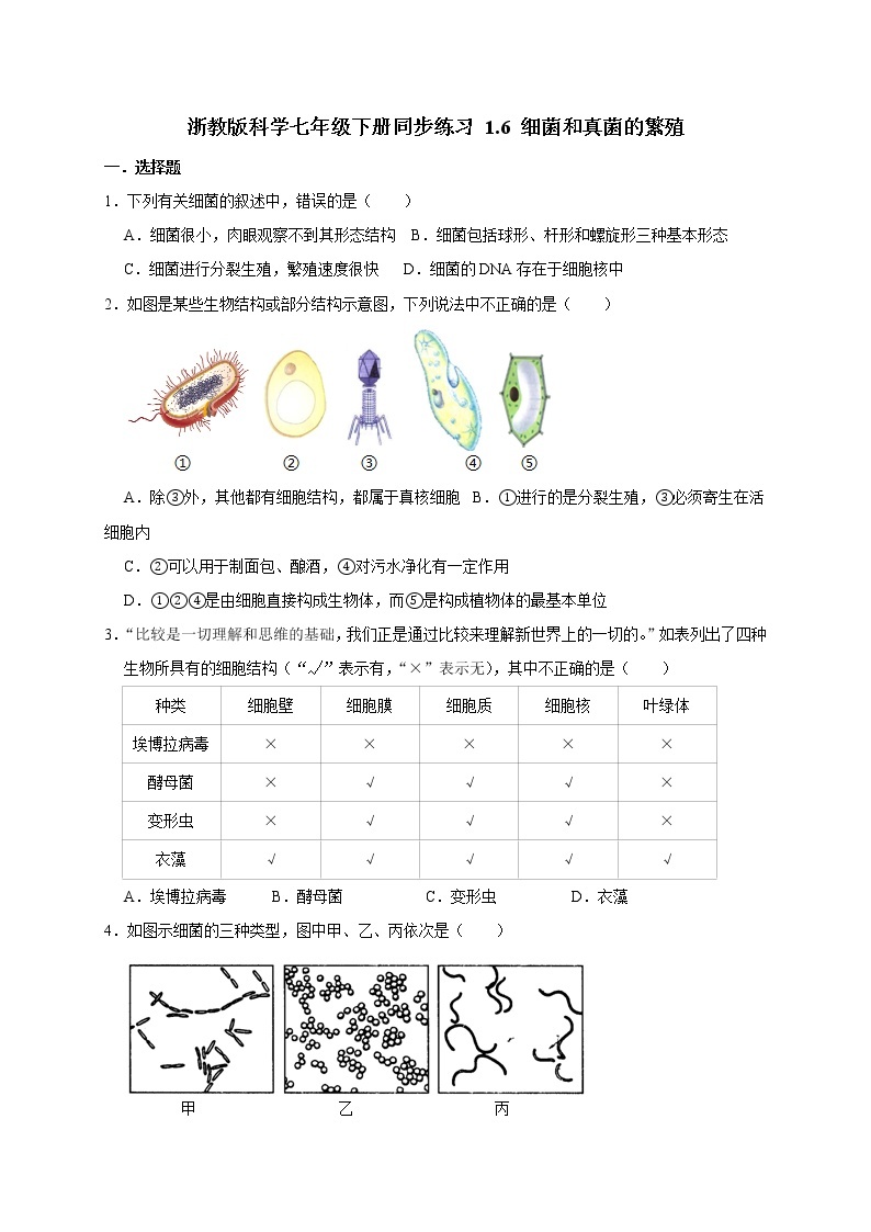 浙教版科学七年级下册同步练习 1.6 细菌和真菌的繁殖01
