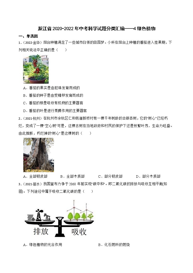 浙江省2020-2022年中考科学试题分类汇编——4绿色植物（含答案解析）第1页