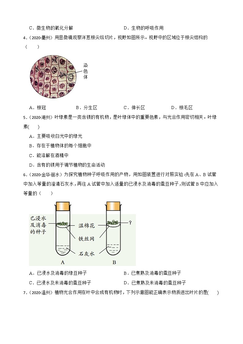 浙江省2020-2022年中考科学试题分类汇编——4绿色植物（含答案解析）第2页