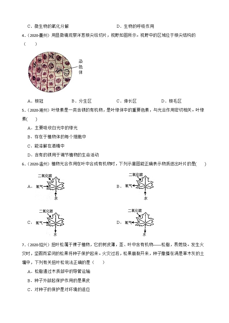 浙江省2020-2022年中考科学试题分类汇编——5植物根茎叶与光合作用（含答案解析）02