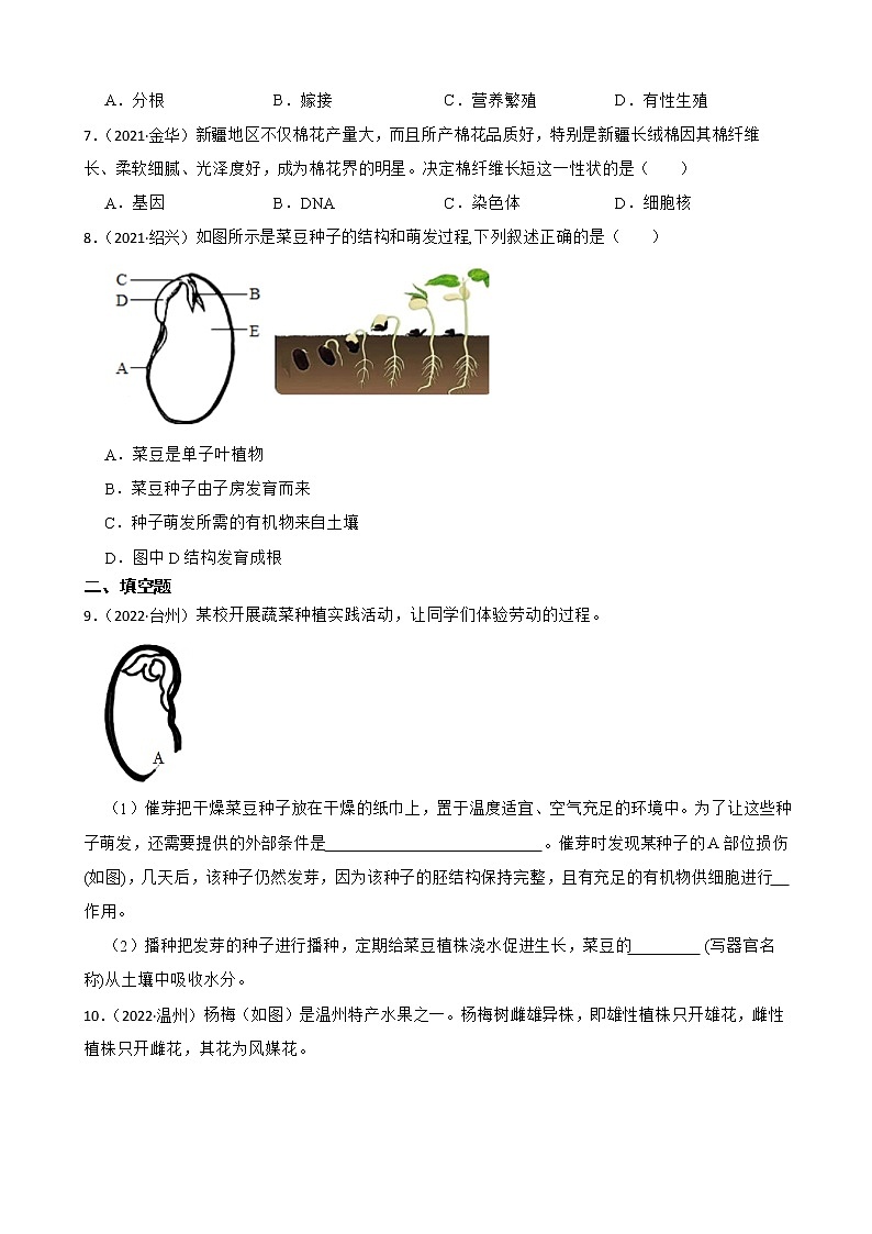浙江省2020-2022年中考科学试题分类汇编——8生命的延续与进化（含答案解析）第2页
