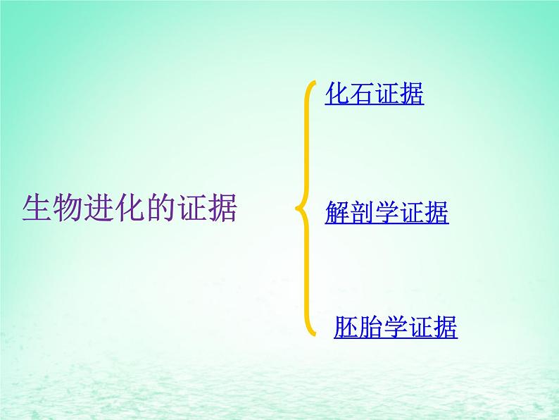 华东师大版科学九年级下册 第二章 第三节 生物进化 课件01第4页