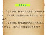 华东师大版科学九年级下册 第二章 第三节 生物进化 课件03