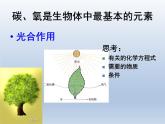 华东师大版科学九年级下册 第三章 第二节 自然界中的碳循环和氧循环 课件