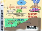 华东师大版科学九年级下册 第三章 第二节 自然界中的碳循环和氧循环 课件