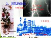 华东师大版科学九年级下册 第三章 第三节 自然界中的氮循环 课件