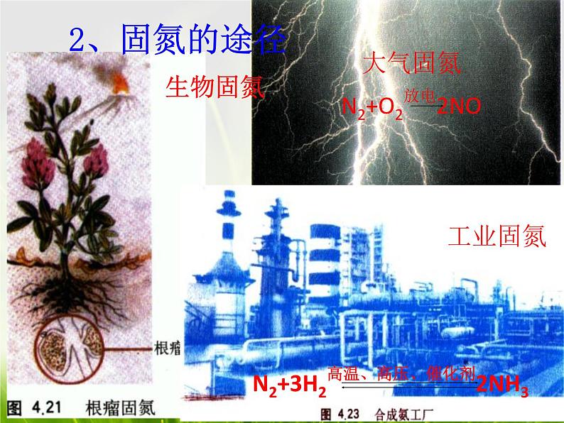 华东师大版科学九年级下册 第三章 第三节 自然界中的氮循环 课件05