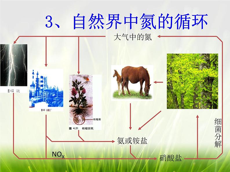 华东师大版科学九年级下册 第三章 第三节 自然界中的氮循环 课件06