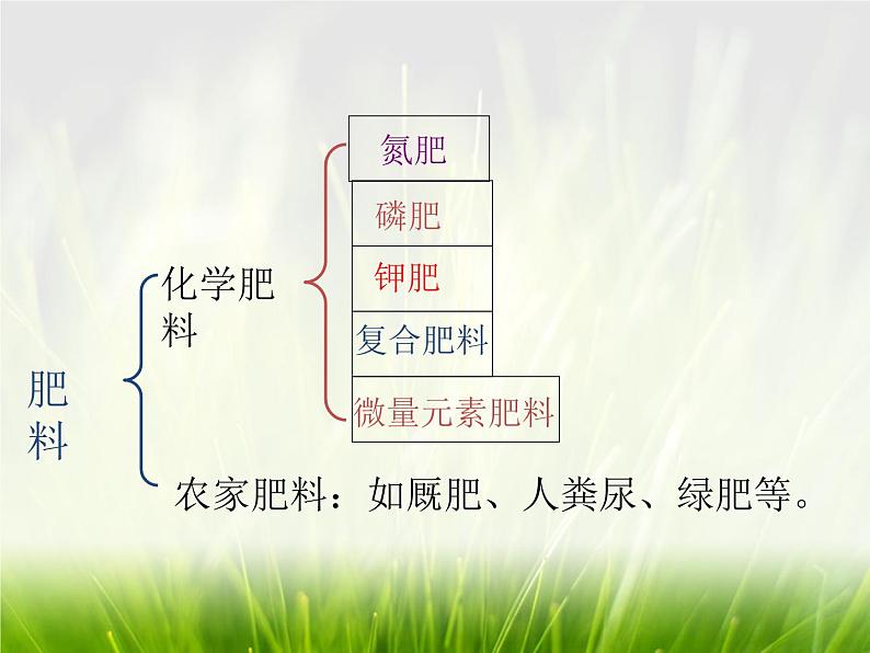 华东师大版科学九年级下册 第三章 第三节 自然界中的氮循环 课件08