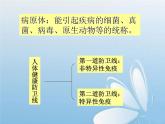 华东师大版科学九年级下册 第四章 第三节 免疫与健康 课件