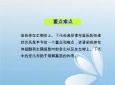 华东师大版科学九年级下册 第五章 第一节 生物的遗传 课件